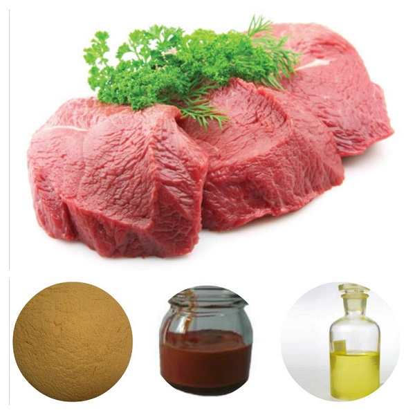 牛肉風味のパウダー