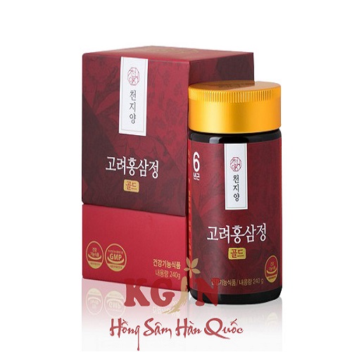 高麗人参