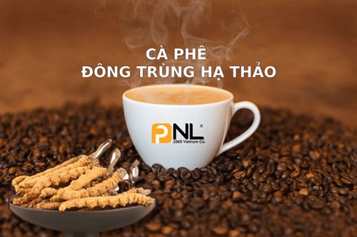 コーディセップスコーヒーの加工