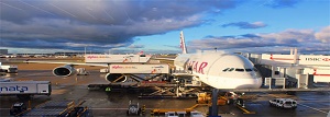 航空貨物サービス