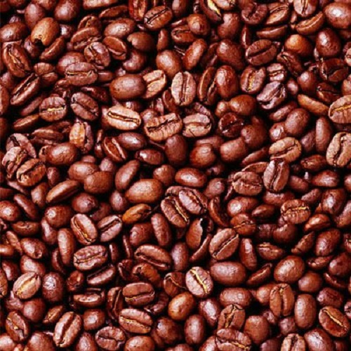 焙煎されたロブスタ種のコーヒー豆