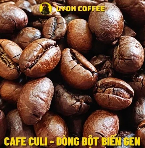 ペーベリーコーヒー
