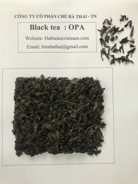 茶の加工