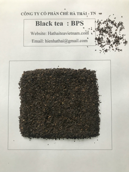 茶の収穫